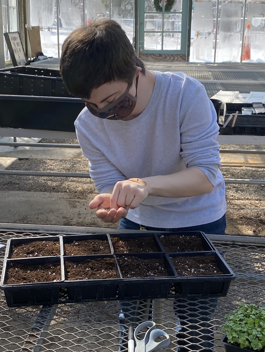 A hotbed of learning inside Central Park's Greenhouse