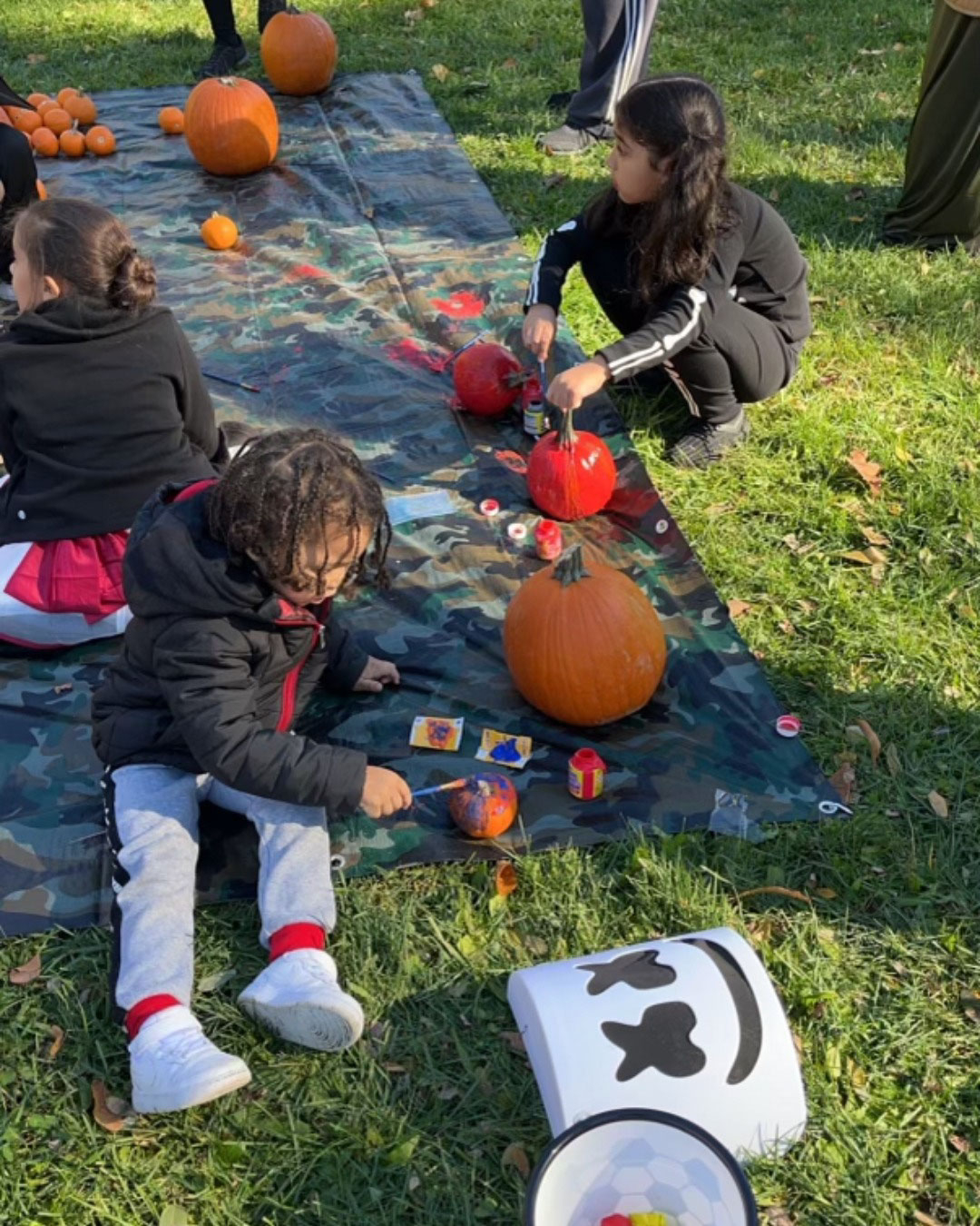 Uploaded Image: /vs-uploads/2022-blog-images/Pumpkins-1.jpg