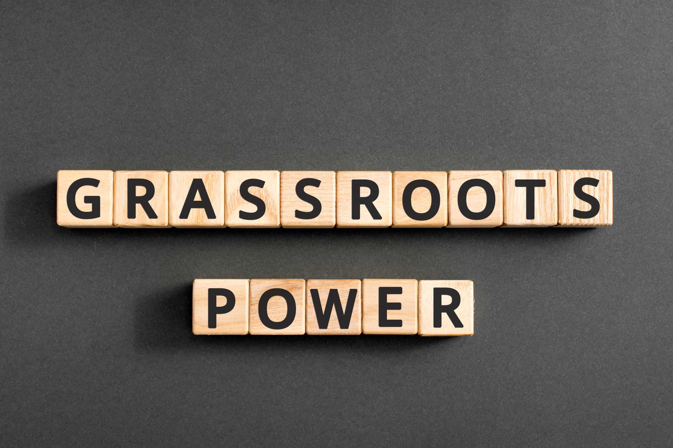 Give for Impact » Grassroots Equity Fund